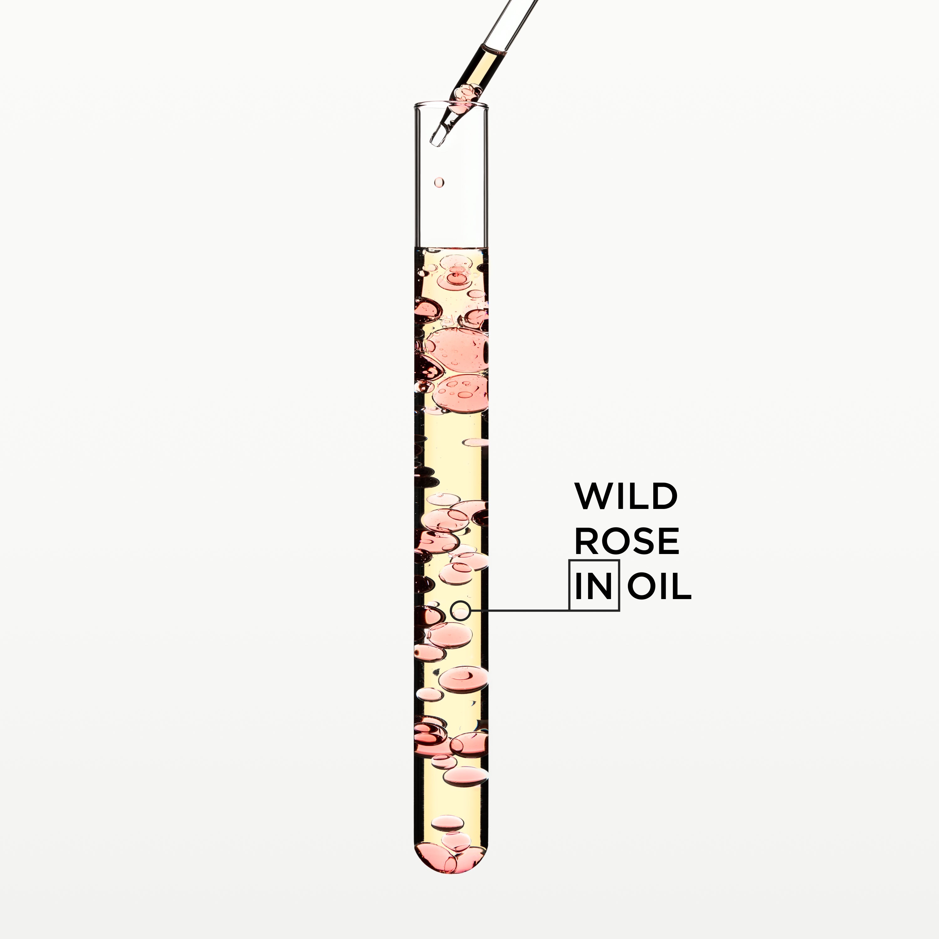 Wild Rose Hair Oil: Beauty serum in a test tube with oil droplets, promoting hair care.