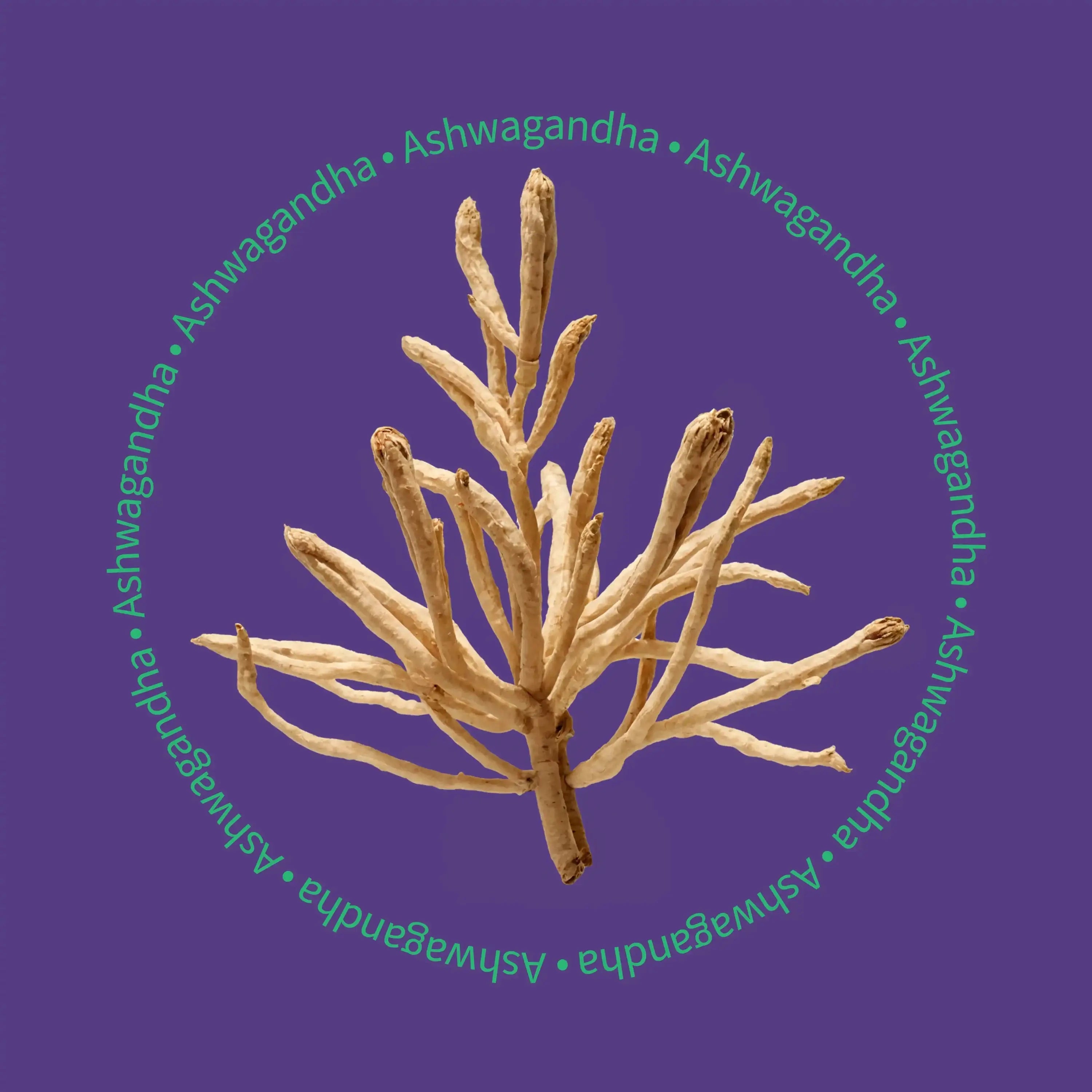 Be Bright Nite Nite Capsules 75 vegan ncapsules