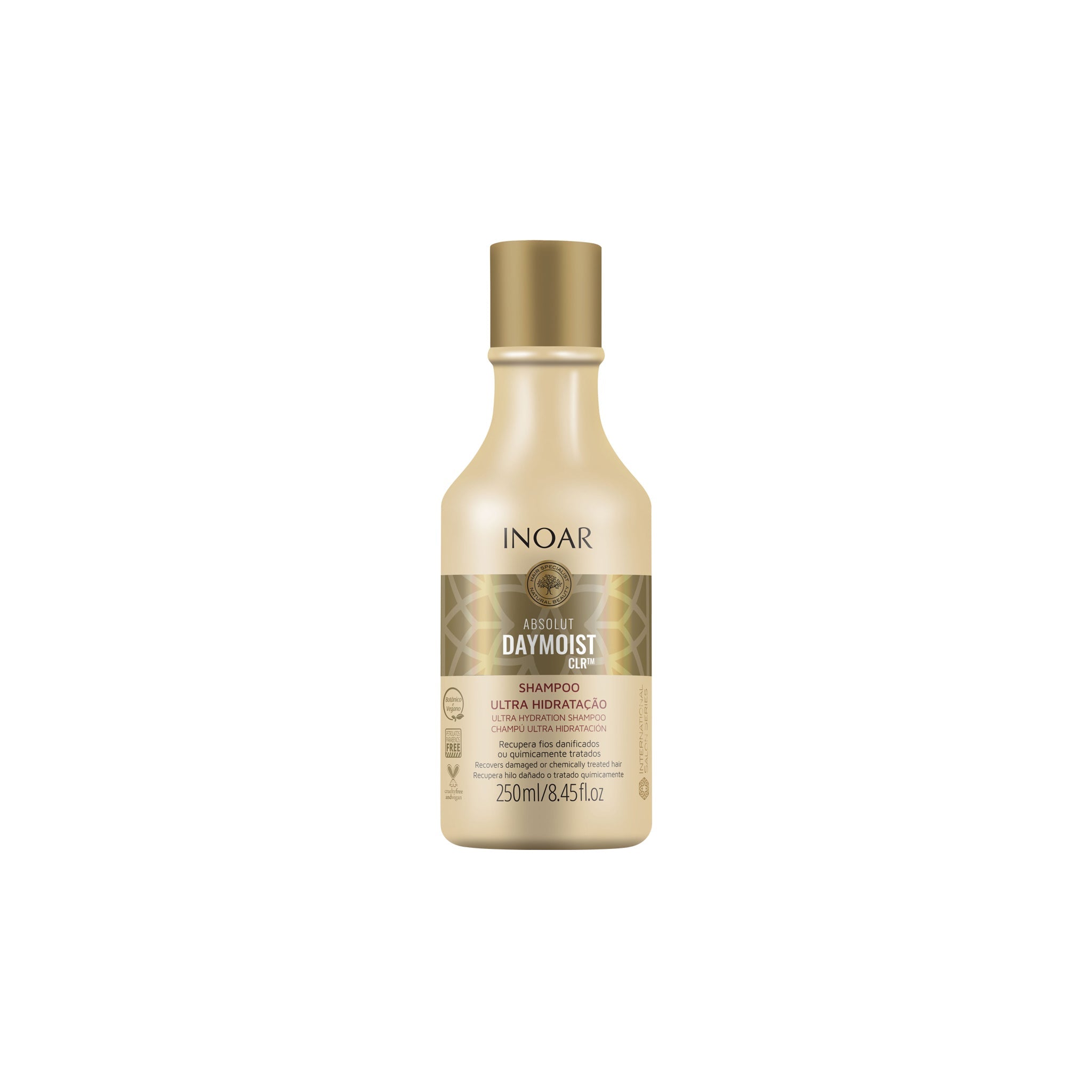 Inoar Absolut Daymoist Shampoo Bottle for Ultra Hydration and Hair Care in 250ml Size