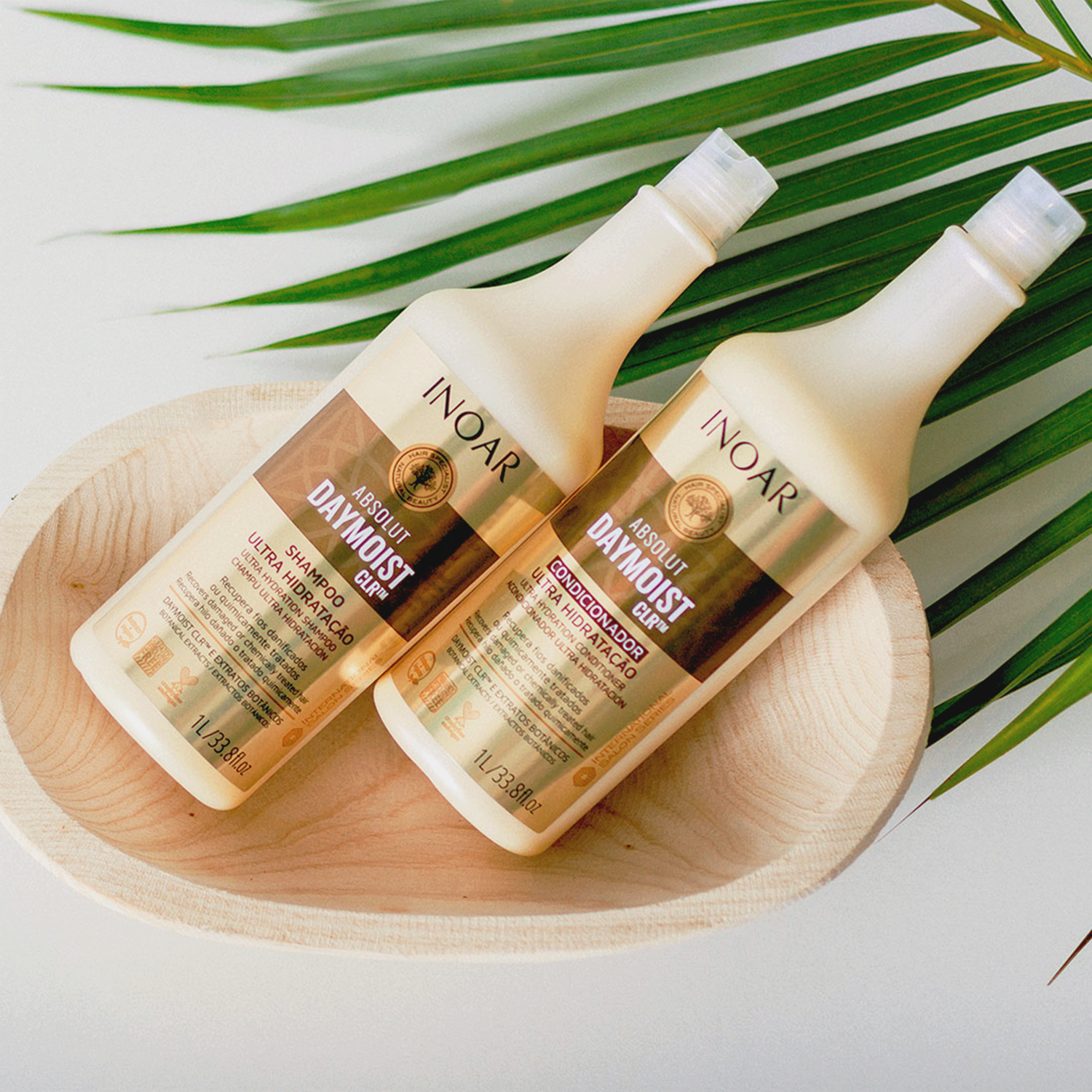 Inoar Absolut Daymoist Shampoo bottles arranged in a wooden bowl with green palm leaves