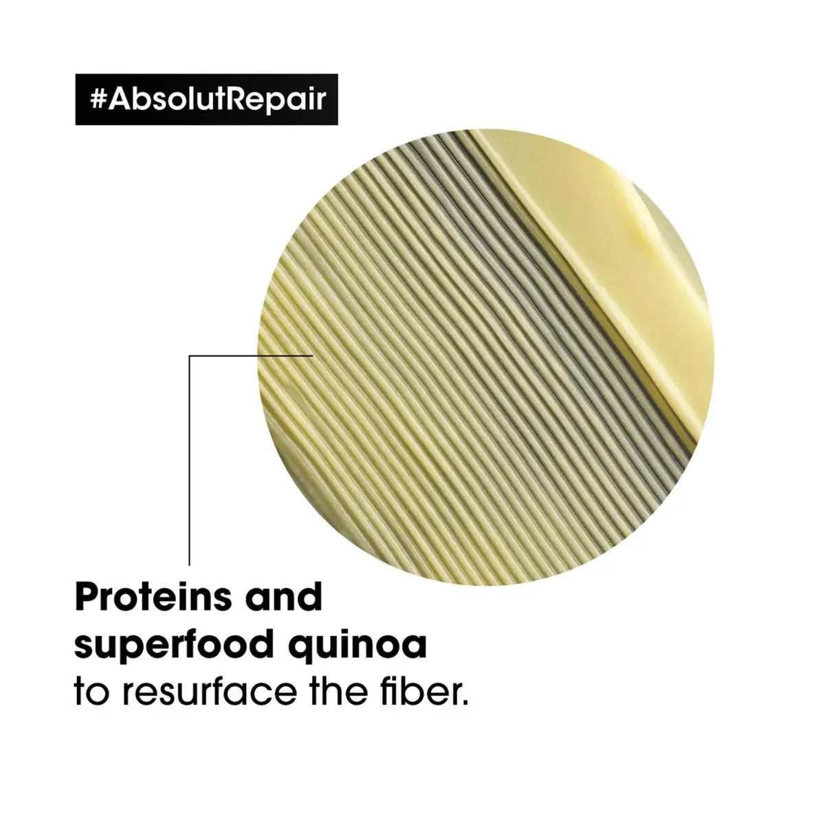 L'Oréal Absolut Repair Conditioner: Protein & Quinoa for Damaged Hair Fiber Restoration. #AbsolutRepair
