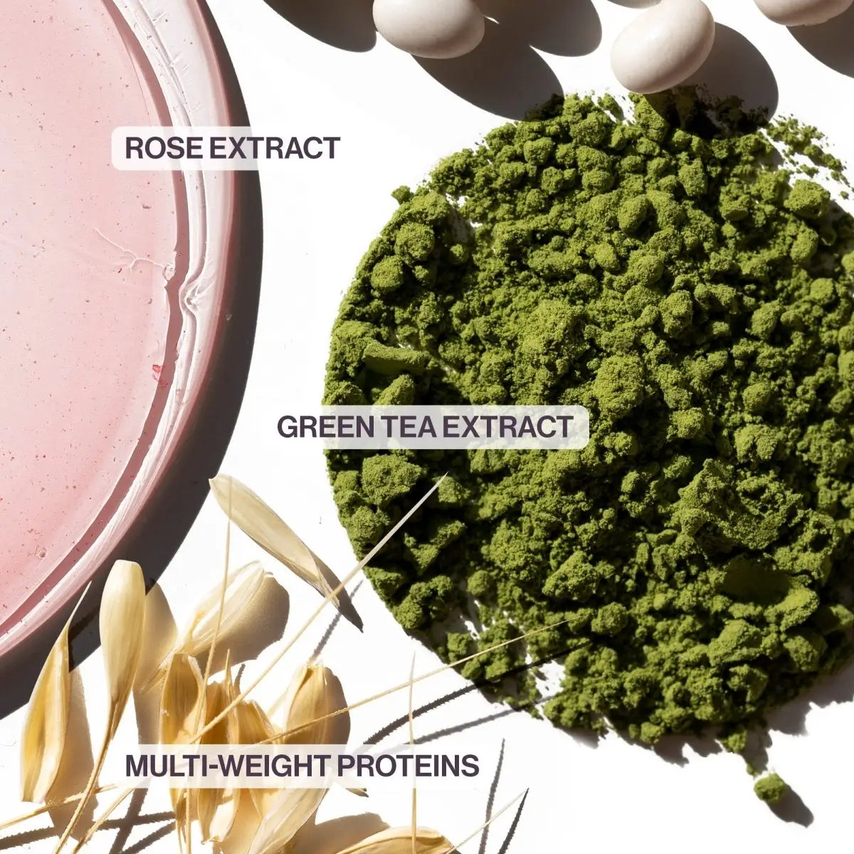 Green tea extract in Pureology Hydrate Conditioner for color-treated hair with Antifade Complex®