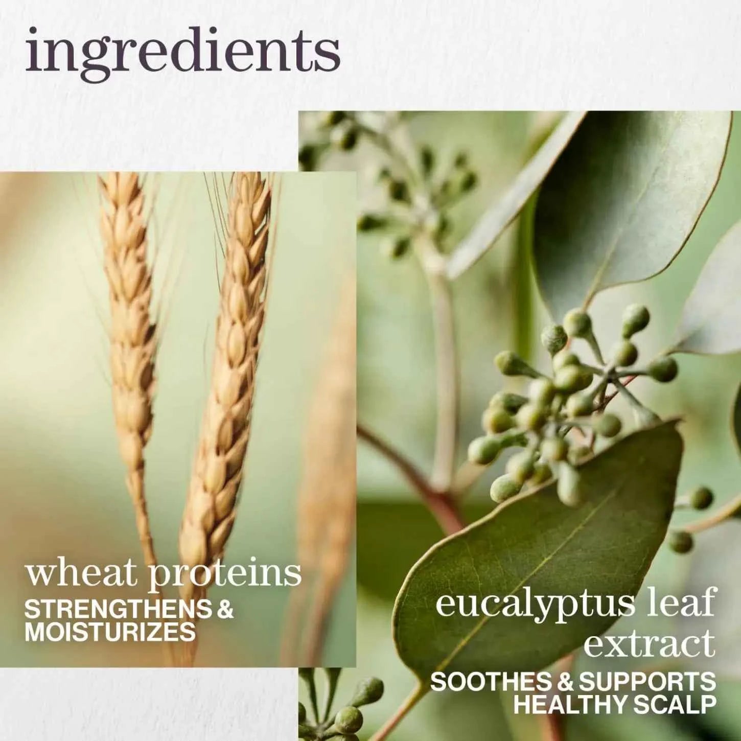 Pureology Hydrate Conditioner - 266ml