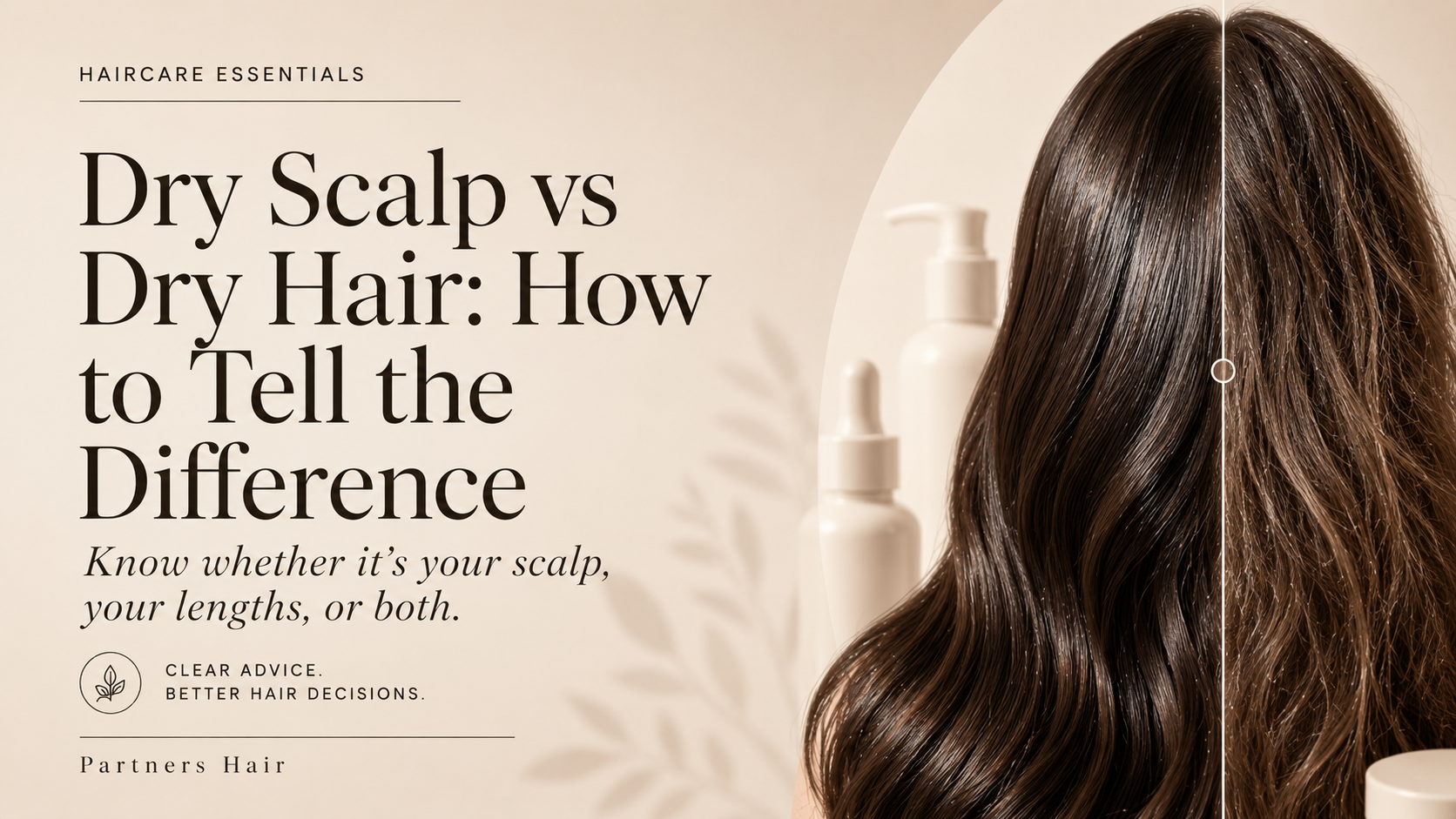 Dry Scalp vs Dry Hair: How to Tell the Difference