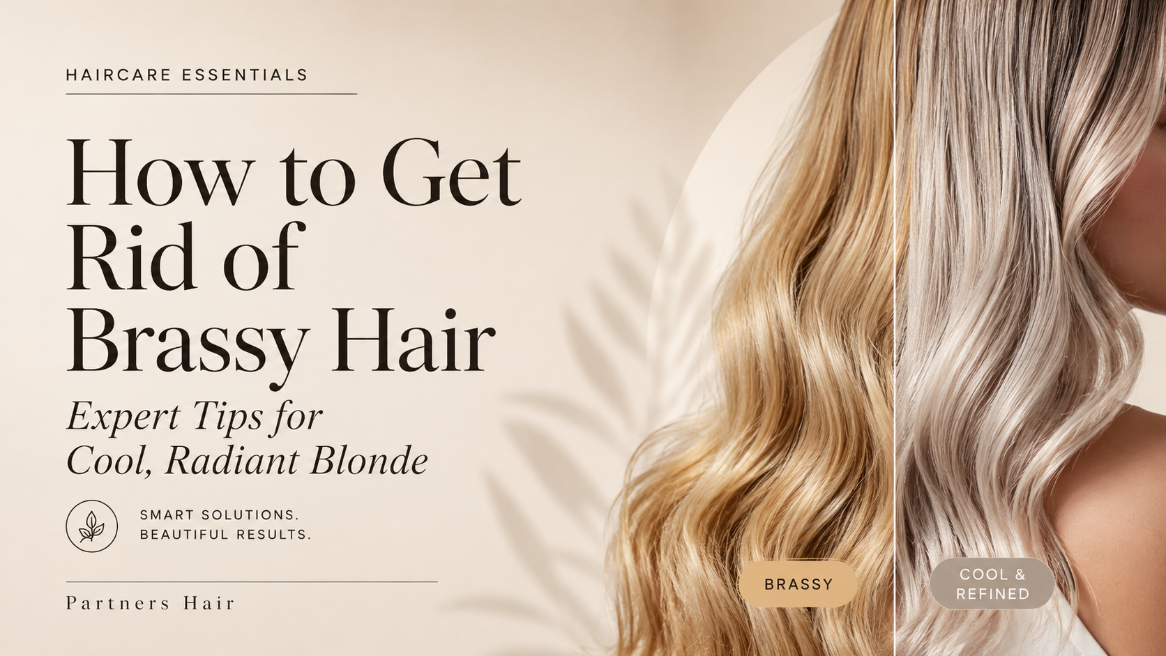 How to Get Rid of Brassy Hair