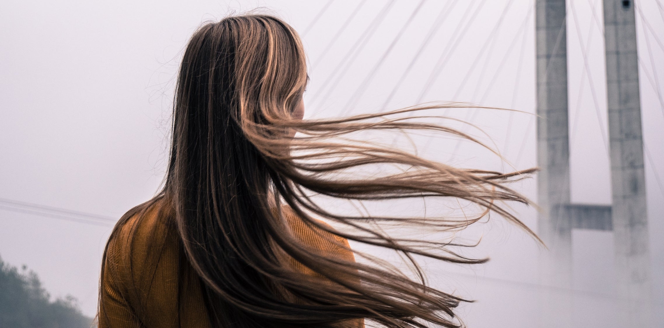 Best Shampoo for Dry Hair -  Expert Salon Advice