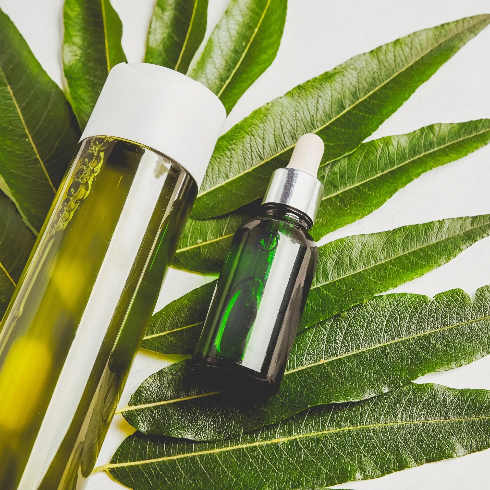 Two glass bottles of green and yellow liquids on leaves, highlighted in cheap sulphate-free shampoos.