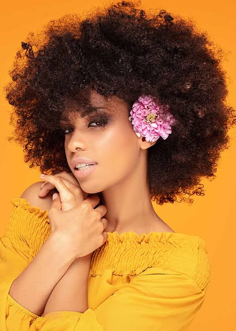 Voluminous afro hairstyle with pink flowers showcasing Mizani products for stunning hair.