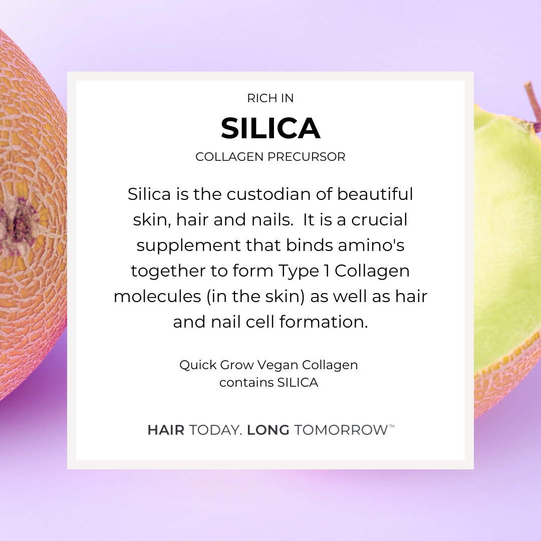 Silica ingredient benefit graphic for Quick Grow Chocolate Vegan Collagen 450g