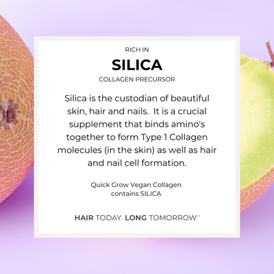 Silica ingredient benefit graphic for Quick Grow Chocolate Vegan Collagen 450g