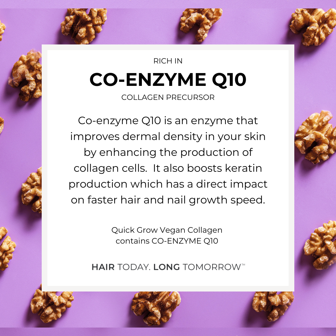 Coenzyme Q10 ingredient benefit graphic for Quick Grow Chocolate Vegan Collagen 450g