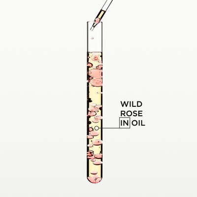 Wild Rose Hair Oil: Beauty serum in a test tube with oil droplets, promoting hair care.