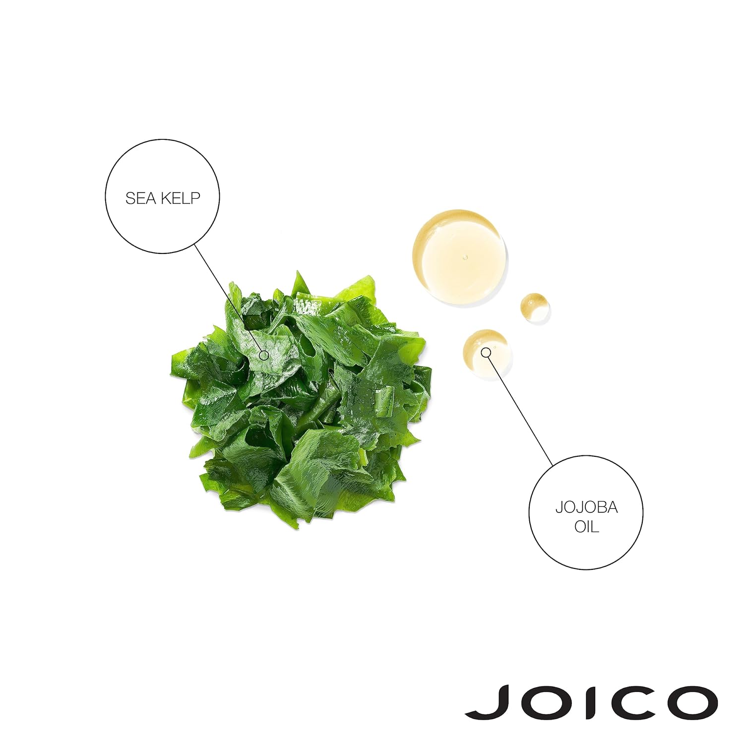 Joico Moisture Recovery Shampoo - Hydrating Shampoo for Dry Hair 300ml