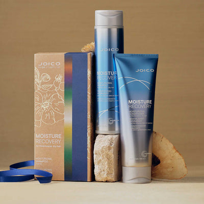 Joico Moisture Recovery Holiday Gift Set