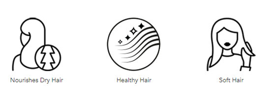 Set of three icons illustrating hair conditions for Kerastase Nutritive Irisome Bain Satin 2 Shampoo