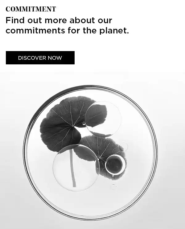 Circular frame containing two lotus leaves and a seed pod.