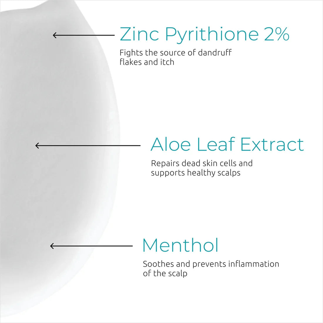 Dandrene® Exfoliating Anti-Dandruff Conditioner - 205ml features zinc pyrithione, aloe, and menthol for healthy scalps.