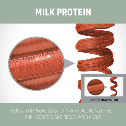 Scientific illustration of milk protein effects in Goldwell Dualsenses Curls & Waves Hydrating Shampoo