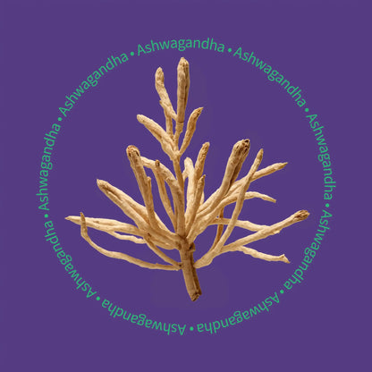 Be Bright Nite Nite Capsules 75 vegan ncapsules