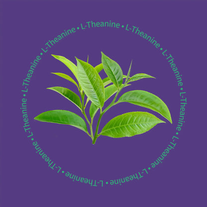 Be Bright Nite Nite Capsules 75 vegan ncapsules