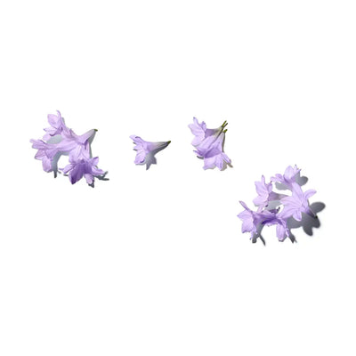 Jacaranda Body Lotion Gift Set: Purple Flowers, Hydrating Bodycare Collection