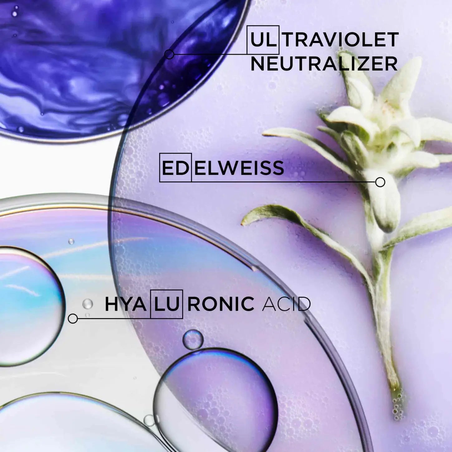 Collage of skincare ingredients featuring ultraviolet neutralizer, edelweiss flower, and hyaluronic acid represented by abstract shapes and a plant.