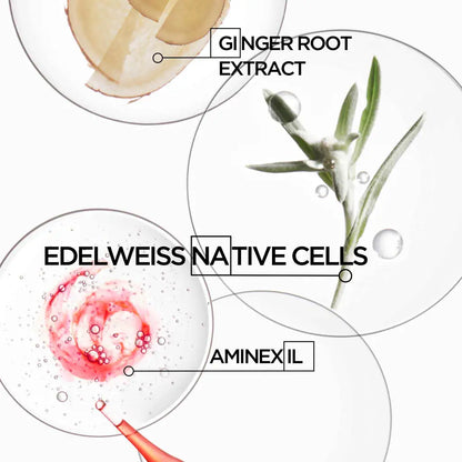 Diagram showing ingredients or components of a skincare product, including ginger root extract, edelweiss native cells, and aminexil.