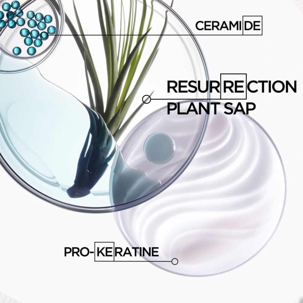 Stylized scientific illustration of plant and cosmetic ingredients in petri dishes.