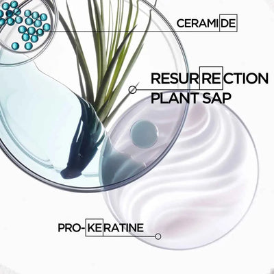 Kérastase Ciment Thermique key ingredients — Vita-Ciment and Sève de Résurrection rebuild damaged hair from within