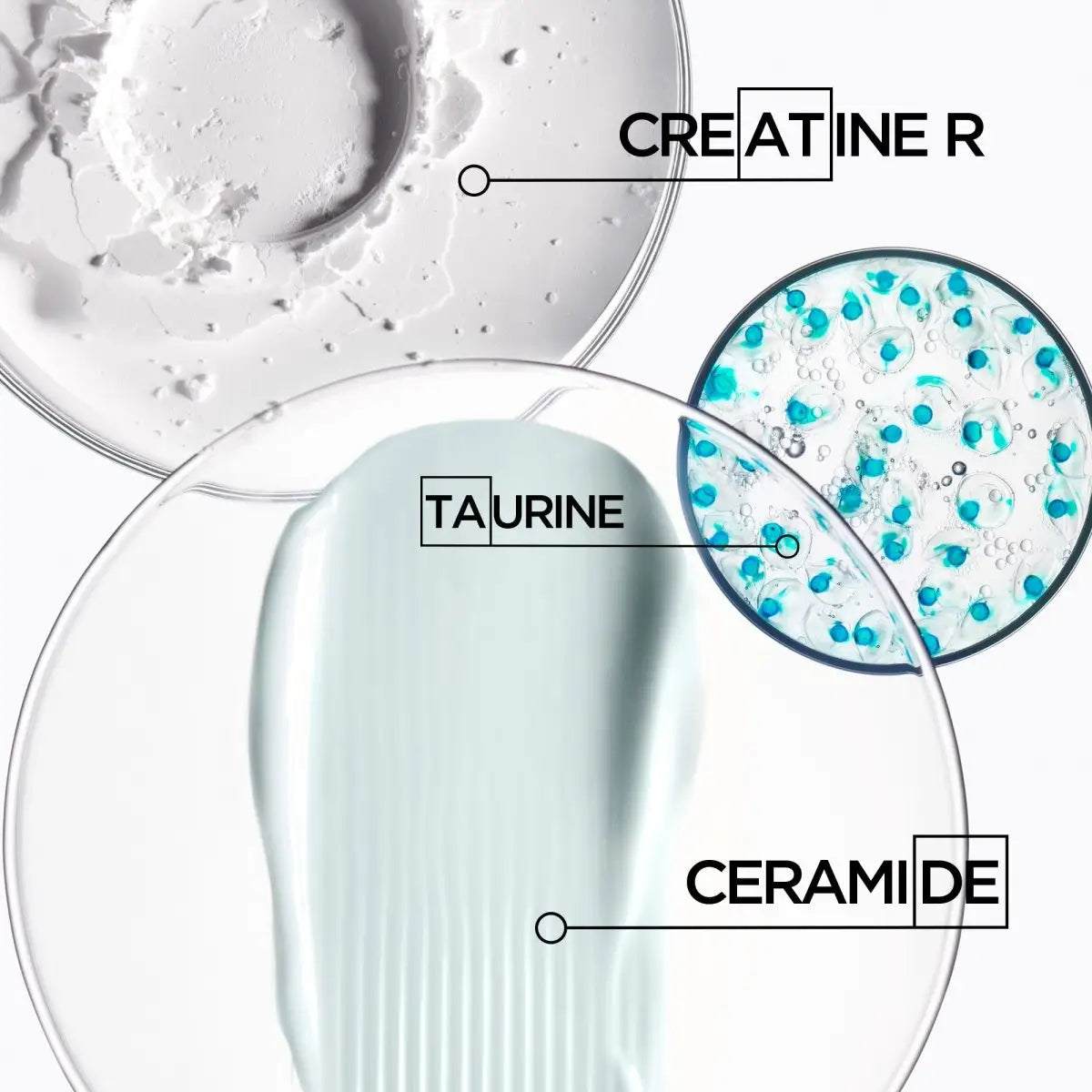 Diagram of Creatine R, Taurine, and Ceramide in Kerastase Resistance Extentioniste Hair Mask 200ml