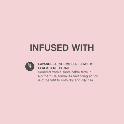 Lavandula Infused: Natural hair care with sustainable Lavandula extract, promoting balanced and healthy hair.
