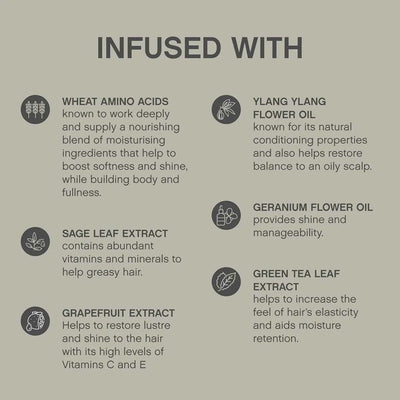 Kevin Murphy Balancing.Wash Ingredients: Wheat Amino Acids, Ylang Ylang, Sage, Green Tea. Oily Hair Solutions, Natural Haircare