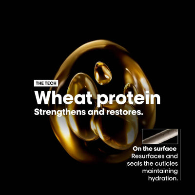 L'Oreal Absolut Repair Wheat Protein Conditioner: Repair & Strengthen Damaged Hair
