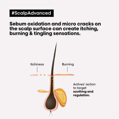 Cross-sectional diagram of hair follicle for L’Oréal Professionnel Anti-Discomfort Shampoo