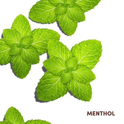 Mizani Scalp Care: Mint Leaves for Dry, Itchy Scalp Relief. Menthol Hair Treatment for Scalp Health & Hydration.