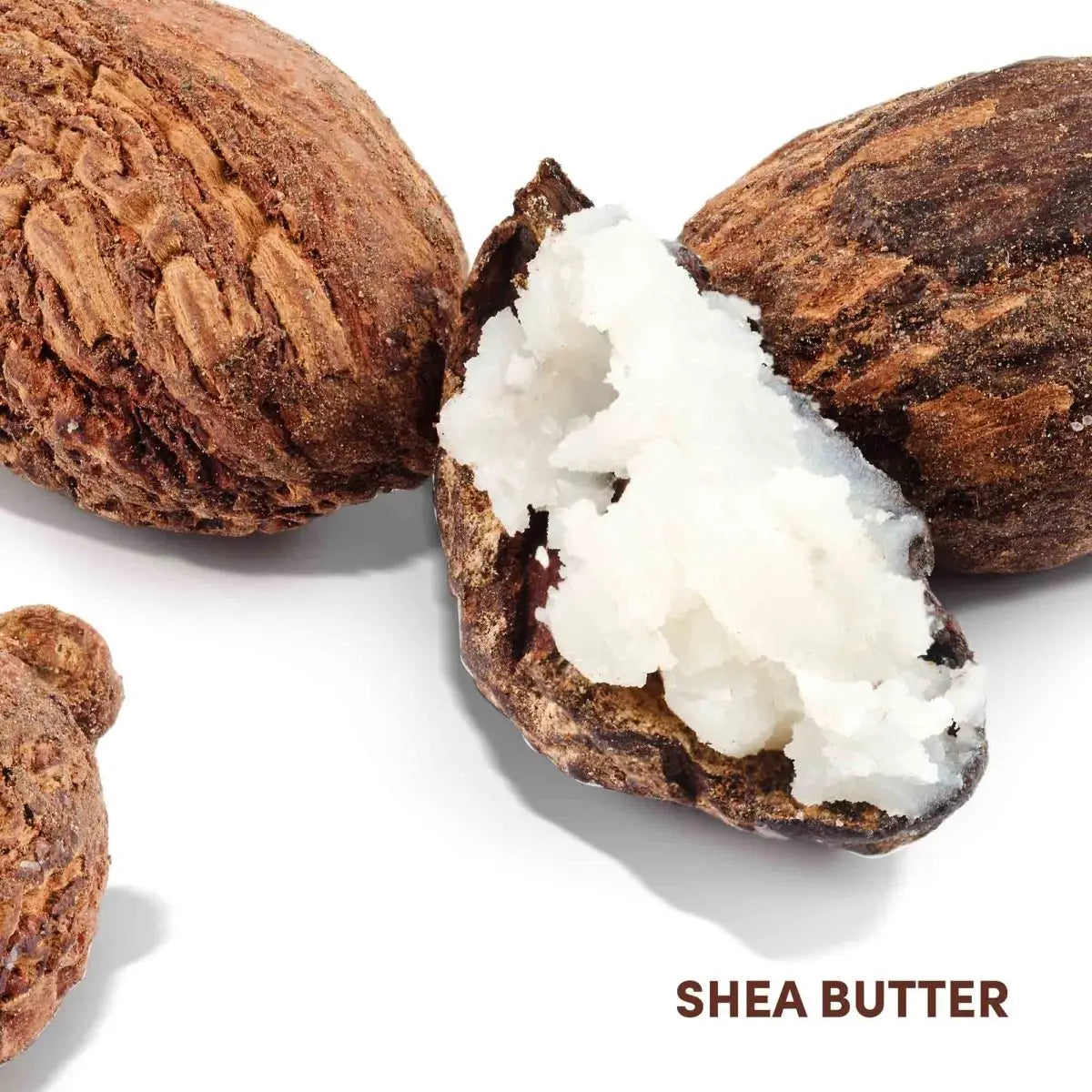 Shea nuts with cracked shell showing shea butter for Mizani Strength Fusion Intense Night