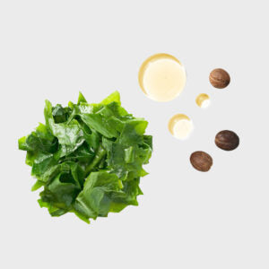 Joico Moisture Recovery Conditioner - Deep Hydration for Dry Hair 250ml