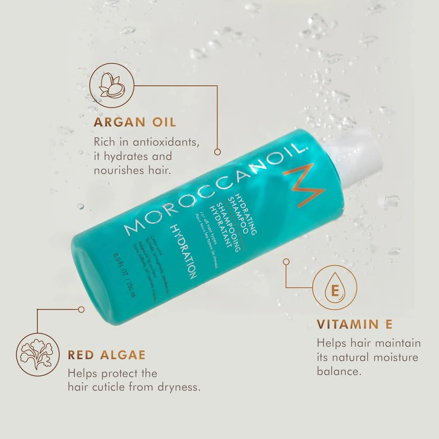 Moroccanoil Hydrating Shampoo 250ml provides intense moisture for nourished, healthy-looking hair.