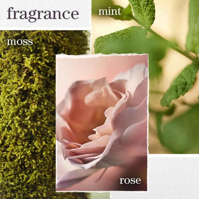 Pureology Hydrate Conditioner - 266ml